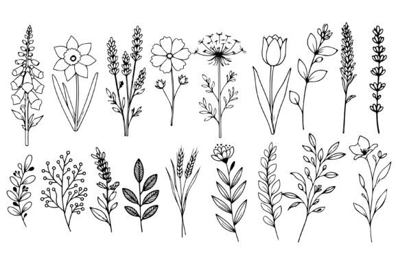 Download Set of Herbs and Wild Flowers Vector Art - Art Collection