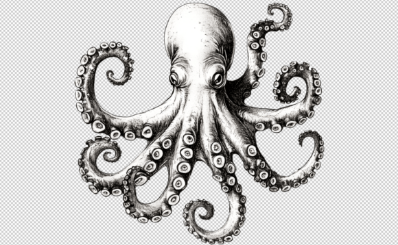 Download Octopus PNG Sublimation 300 DPI Clipart - Art Collection