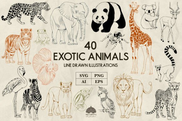 Download Exotic Animals Line Art Svg Png - Art Collection